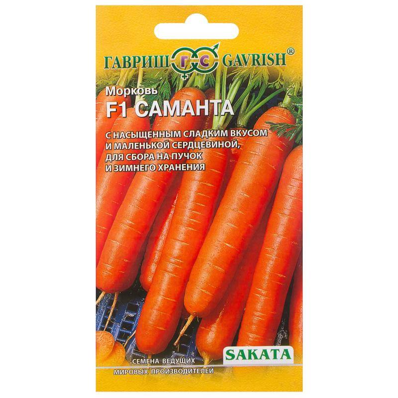 Сорта моркови для сибири - огород