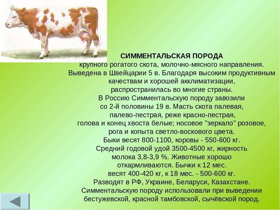 Системы и способы содержания крупного рогатого скота