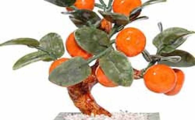 Уточки мандаринки по феншуй: что символизирует, какой выбрать и где ставить