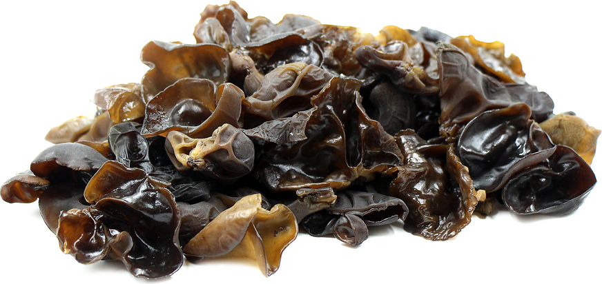 Древесный гриб муэр — характеристика полезных свойств, вреда; противопоказания к употреблению; использование китайского гриба в кулинарии. опасные свойства муэра