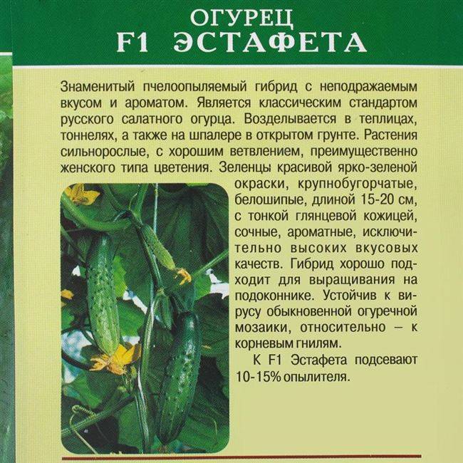Огурцы эстафета f1: отзывы, описание сорта, выращивание и уход, фотографии