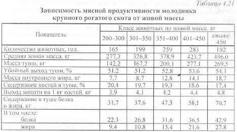 Масса мяса. Таблица убойного выхода мяса КРС. Таблица выхода мясо КРС живого веса. Выход мяса КРС от живого веса таблица. Таблицы мясная продуктивность КРС.