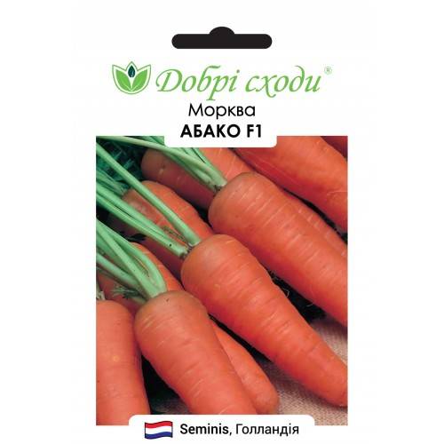 Основные характеристики и описание сорта моркови абако. правила выращивания и ухода