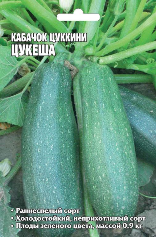 Кабачок цуккини цукеша