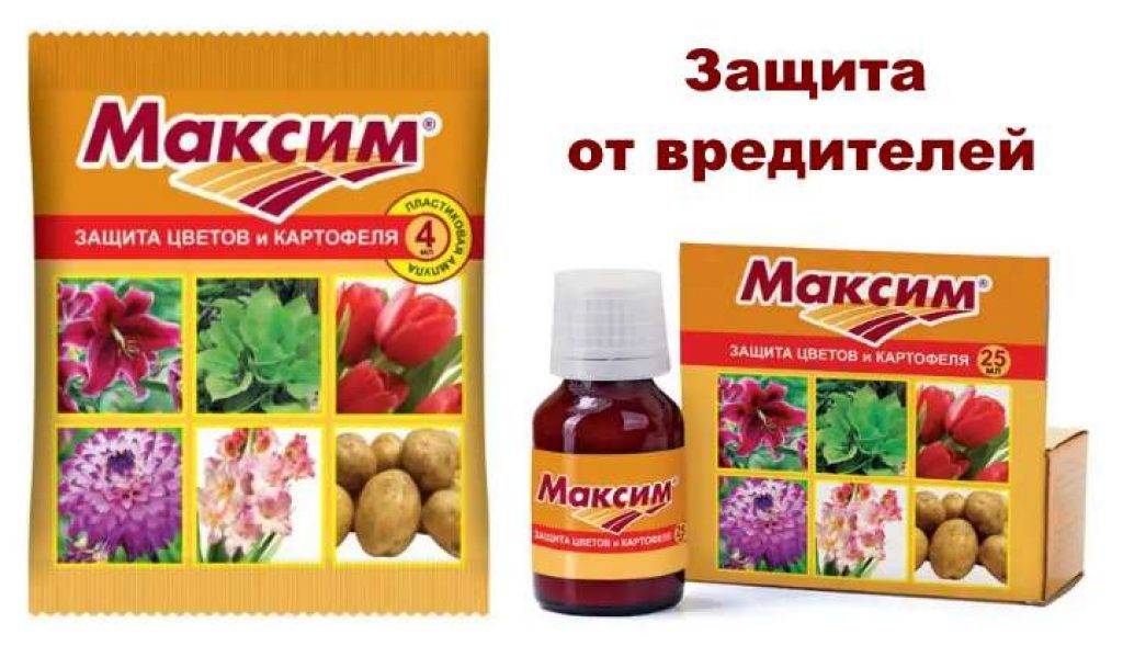Инструкция по применению препарата максим, состав средства, отзывы дачников об удобрении