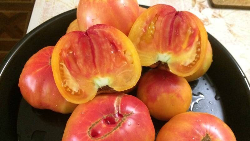 Томат медовый салют: характеристика и описание сорта