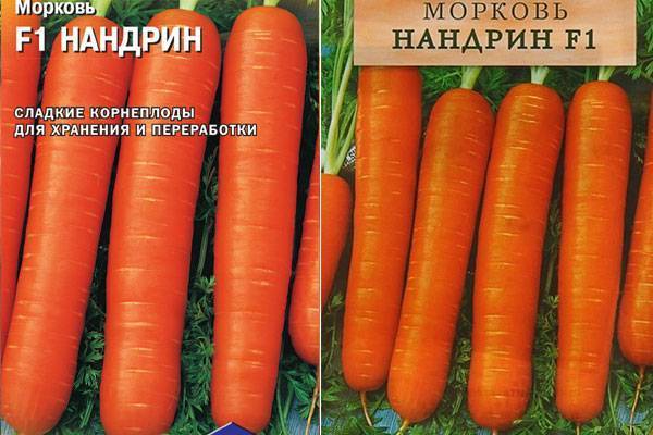 Морковь нандрин f1: отзывы, описание сорта