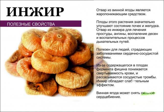 Инжир сушеный польза и вред для организма, калорийность, как едят