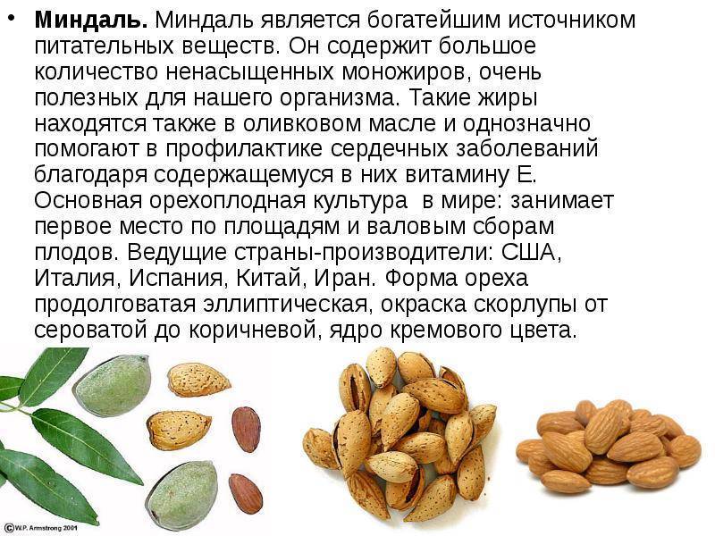 Отравление орехами