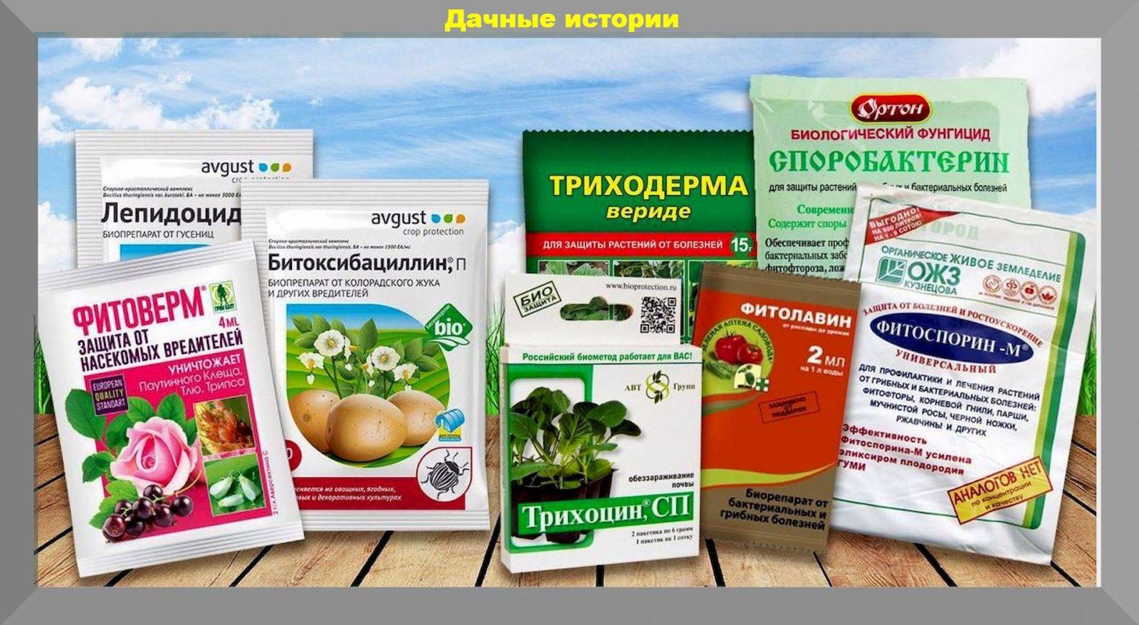 Защита растений от вредителей и болезней — химические средства