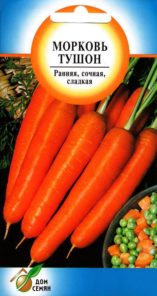 Лучшие сорта моркови для открытого грунта: самые сладкие, сочные и урожайные, ранние и поздние