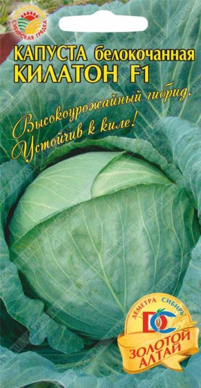 Капуста килатон описание. Капуста белокочанная Килатон f1. Капуста белокочанная Килатон 10шт НК. Сорта капусты Килатон. Килатон капуста описание.