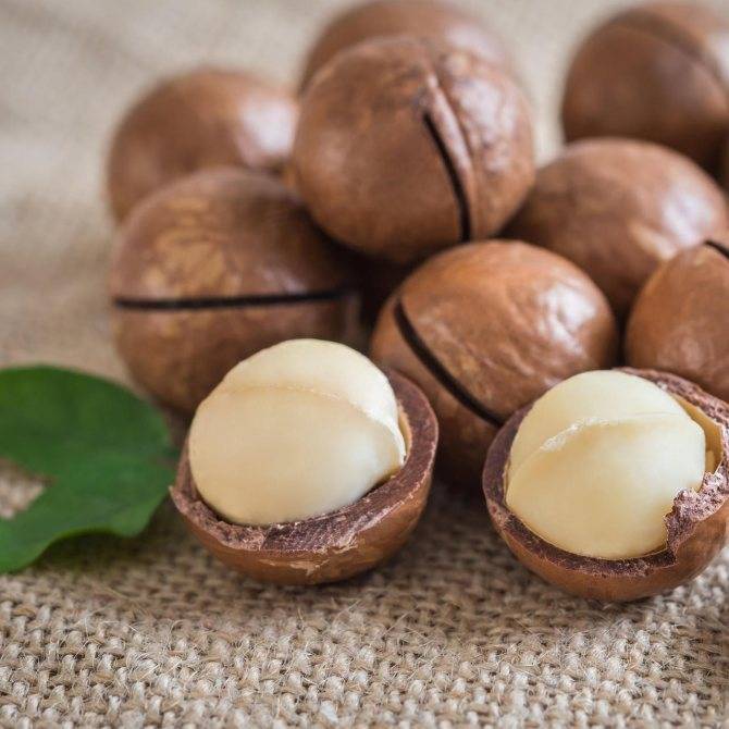 Орех макадамия: польза и вред, применение масла