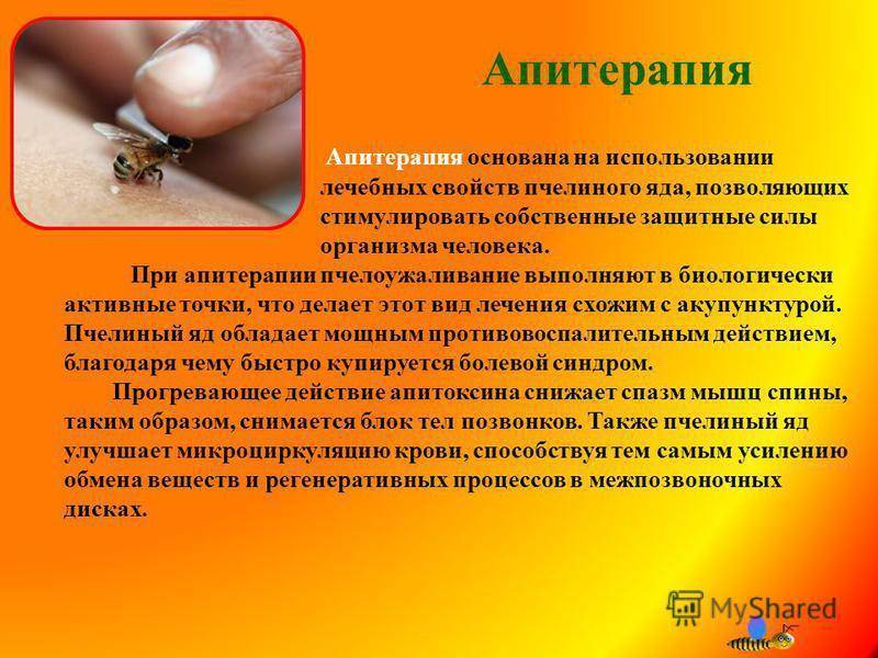 Лечение укусами пчелами различных заболеваний