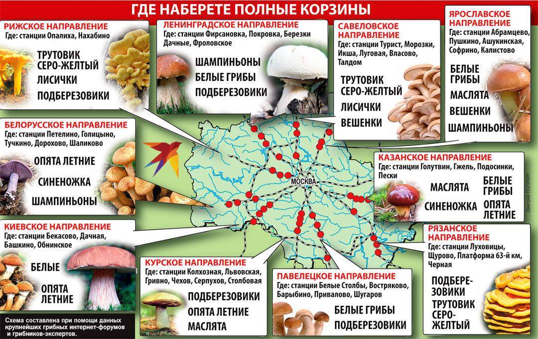 Карта грибных мест волгоградской области