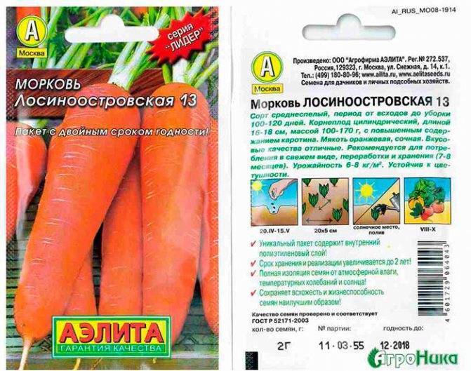 Морковь лосиноостровская 13: описание, фото, отзывы