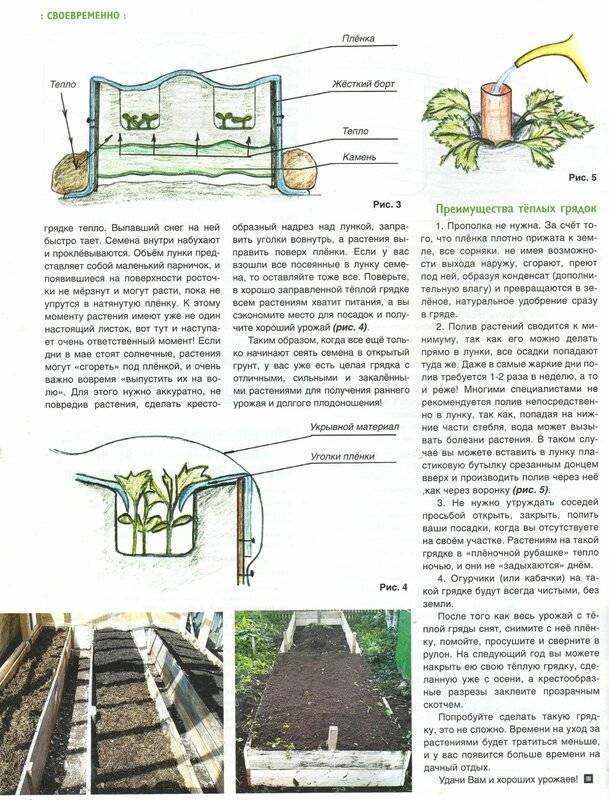 Теплая грядка для огурцов своими руками весной на улице фото