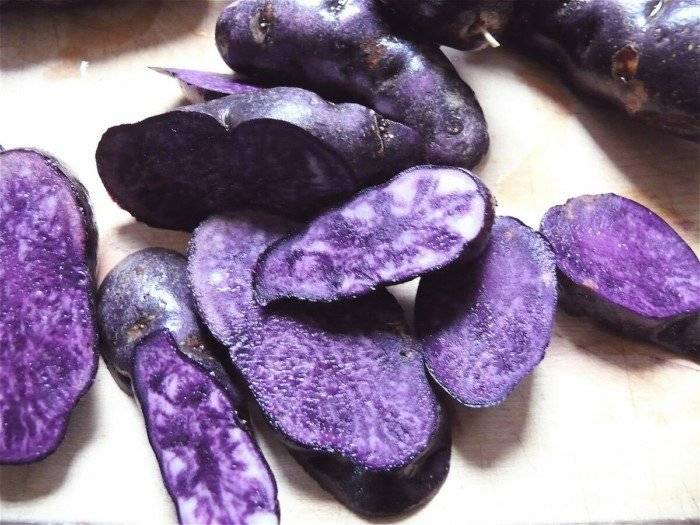 Фиолетовые сорта картофеля: названия, выращивание, готовка