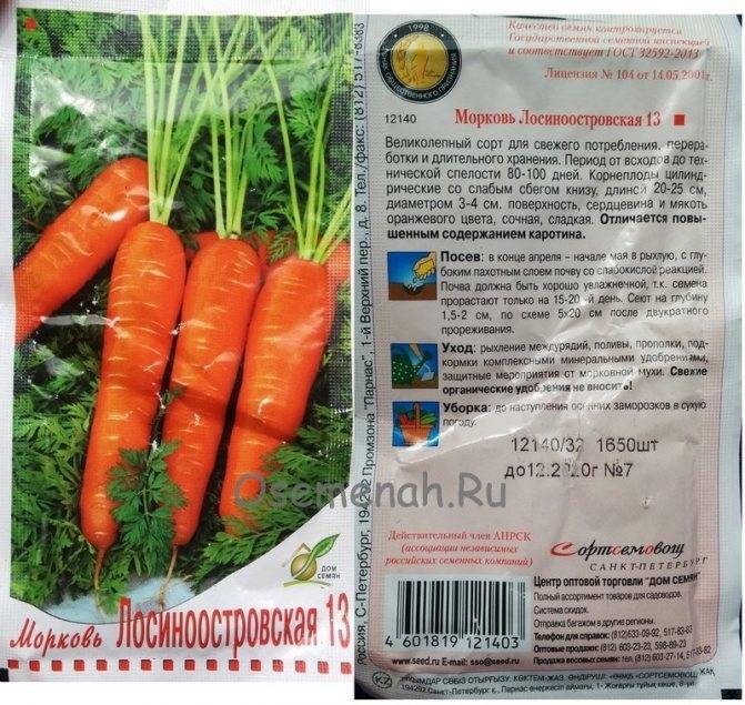 Морковь лосиноостровская 13: отзывы, выращивание, описание и характеристика + фото