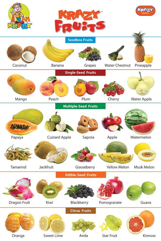 Виды цитрусовых фруктов: названия, описания и интересные факты
