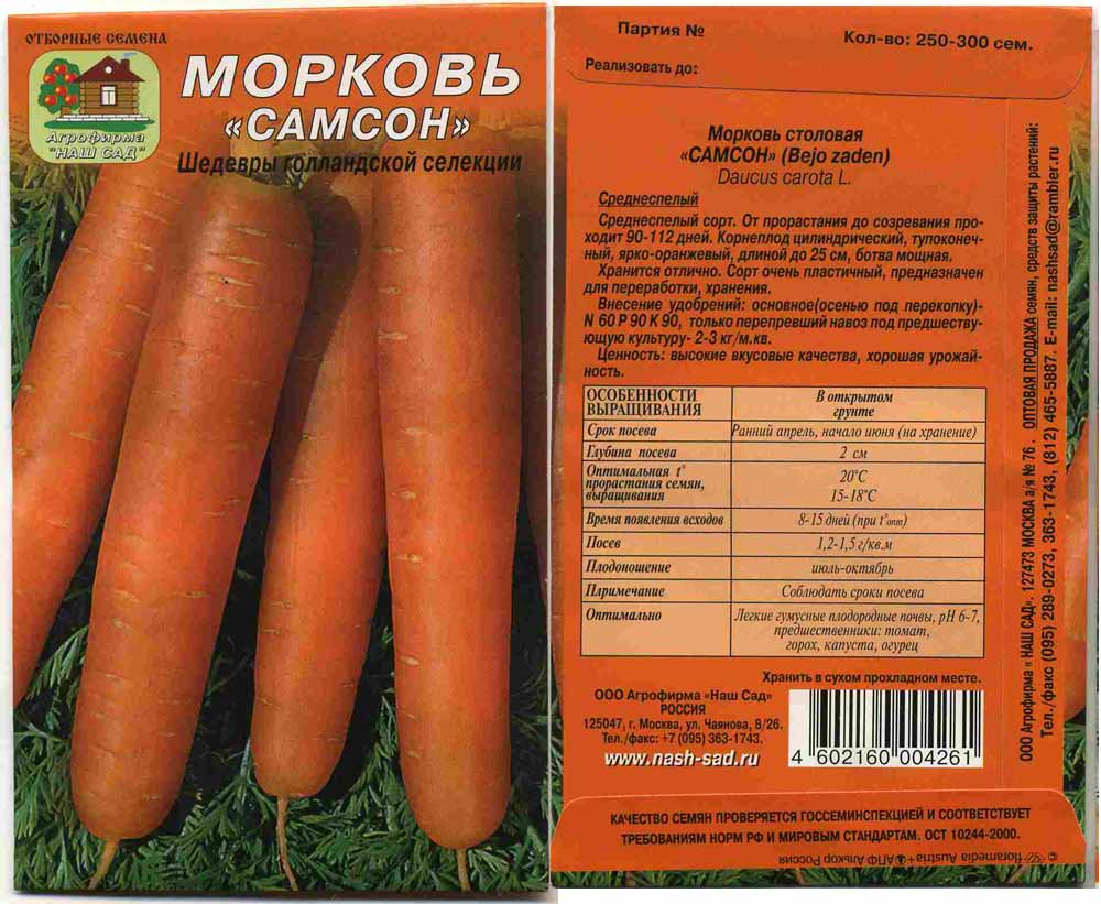 25 лучших сортов моркови: самые сладкие и урожайные, их характеристики и фото