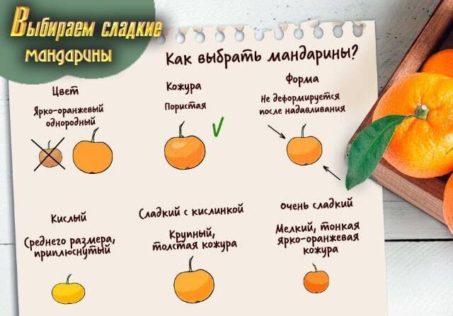 Как хранить мандарины в домашних условиях: описание, рекомендации и отзывы. температура и условия хранение мандарин дома