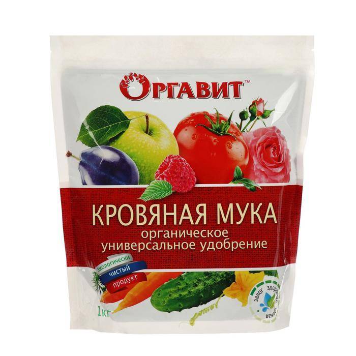 Кровяная мука как удобрение: состав, приготовление и применение