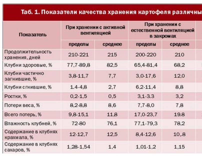 Как хранить картошку на балконе: эксклюзивное ноу-хау для наших читателей