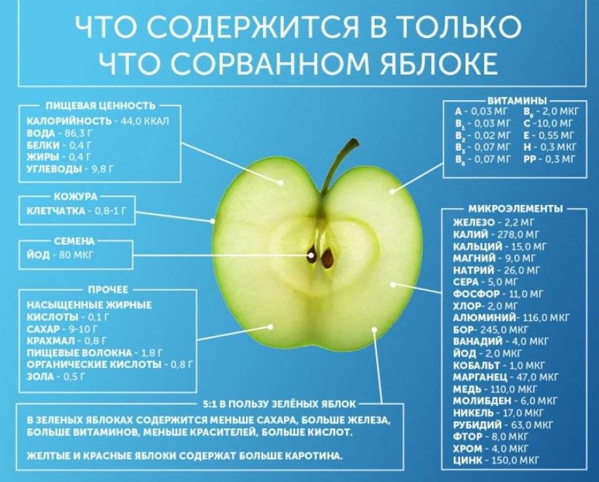 Описание сорта яблони голден делишес: фото яблок, важные характеристики, урожайность с дерева