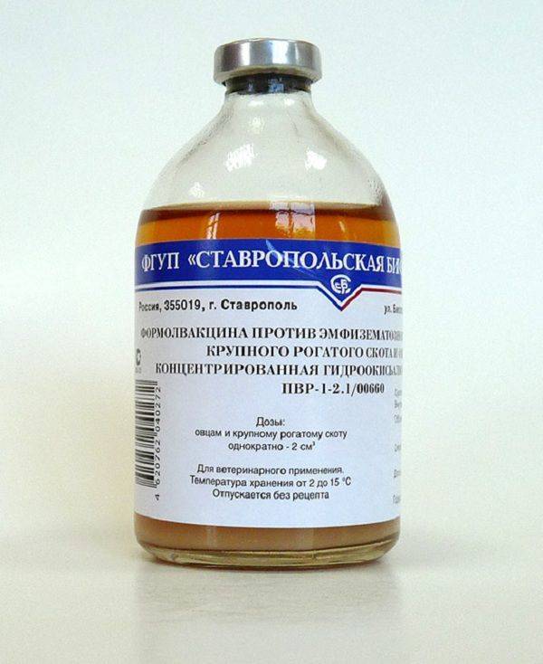 Стрептодермия