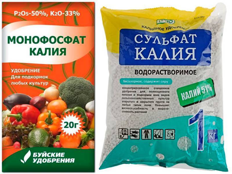 Удобрение сульфат калия: применение на огороде, состав и что это такое