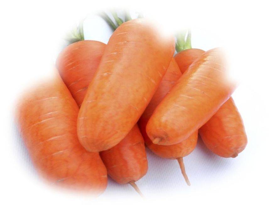 К чему снится морковь свежая