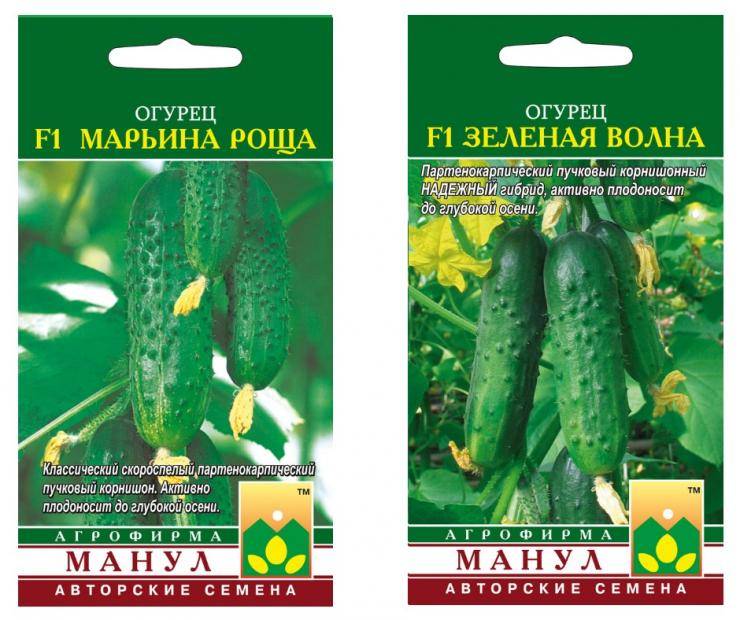 Огурец марьина роща f1: описание сорта, выращивание, фото, отзывы