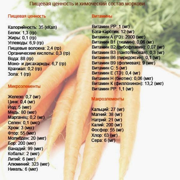 Морковь – калорийность, диета, польза