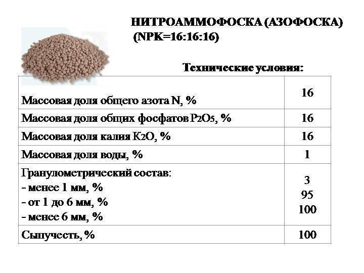 Удобрение аммофос: состав, инструкция по применению, как разводить