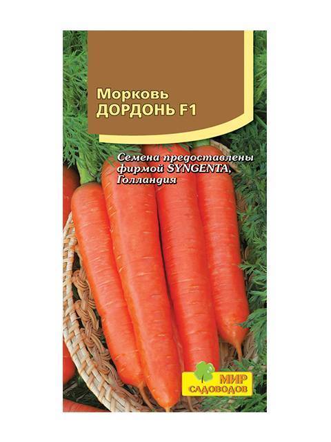 Морковь дордонь f1: характеристика и описание сорта, фото, посадка и уход