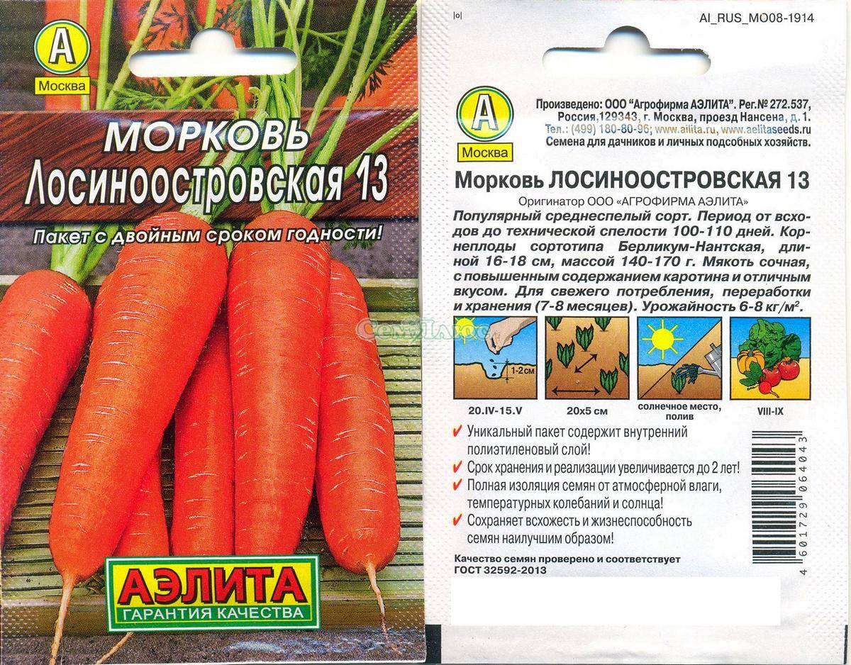 Морковь лосиноостровская 13: описание и характеристики сорта, особенности выращивания, отзывы дачников, фото