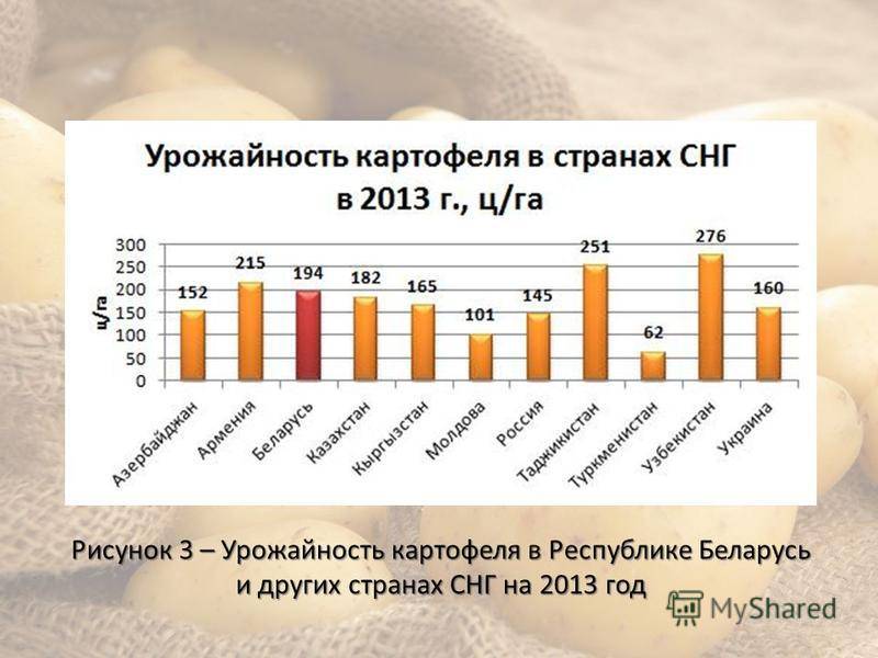 Урожайность картофеля с 1 га и с 1 сотки земли по регионам