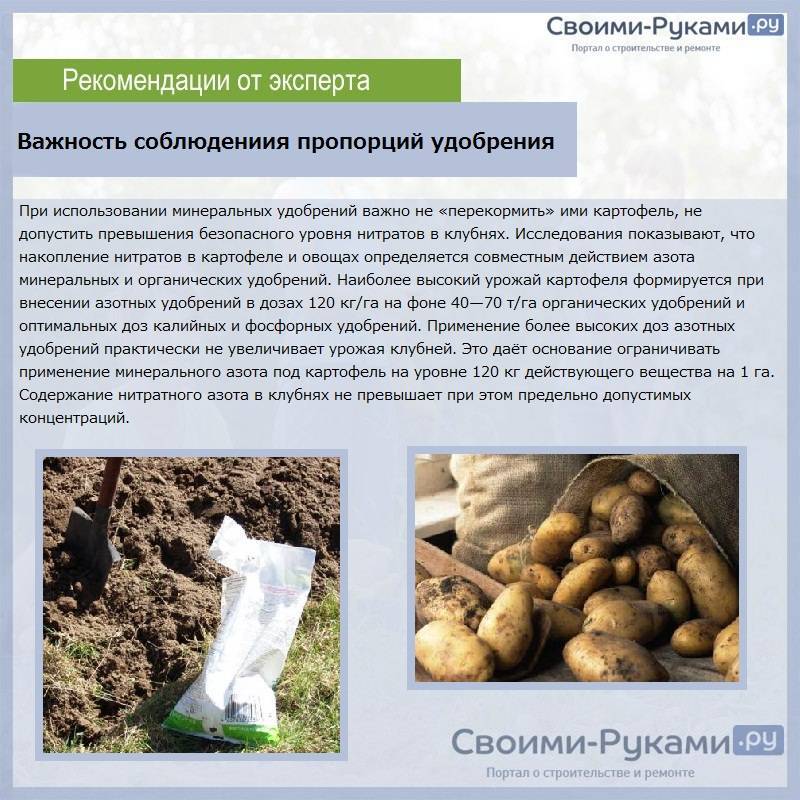 Удобрения для подкормки картофеля – виды и сроки внесения