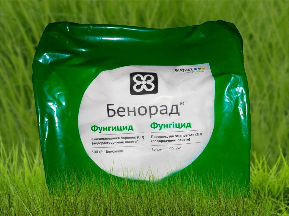 Беномил (фундазол) | справочник пестициды.ru