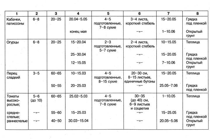 Кабачки схема посадки в открытый грунт в подмосковье