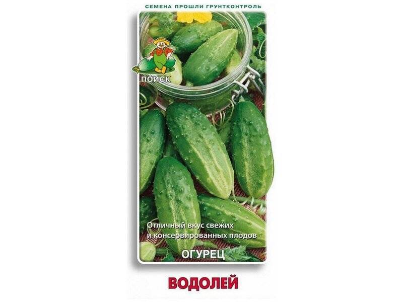 Сорт огурца водолей: фото, отзывы, описание, характеристики.
