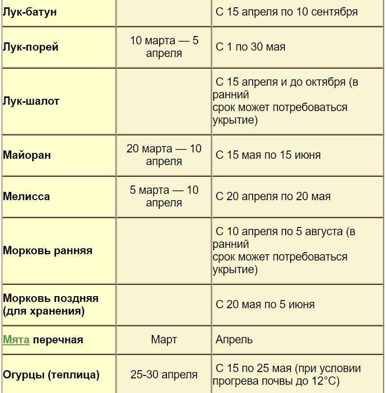 Рассада огурцов для теплицы в домашних условиях: подготовка и высадка