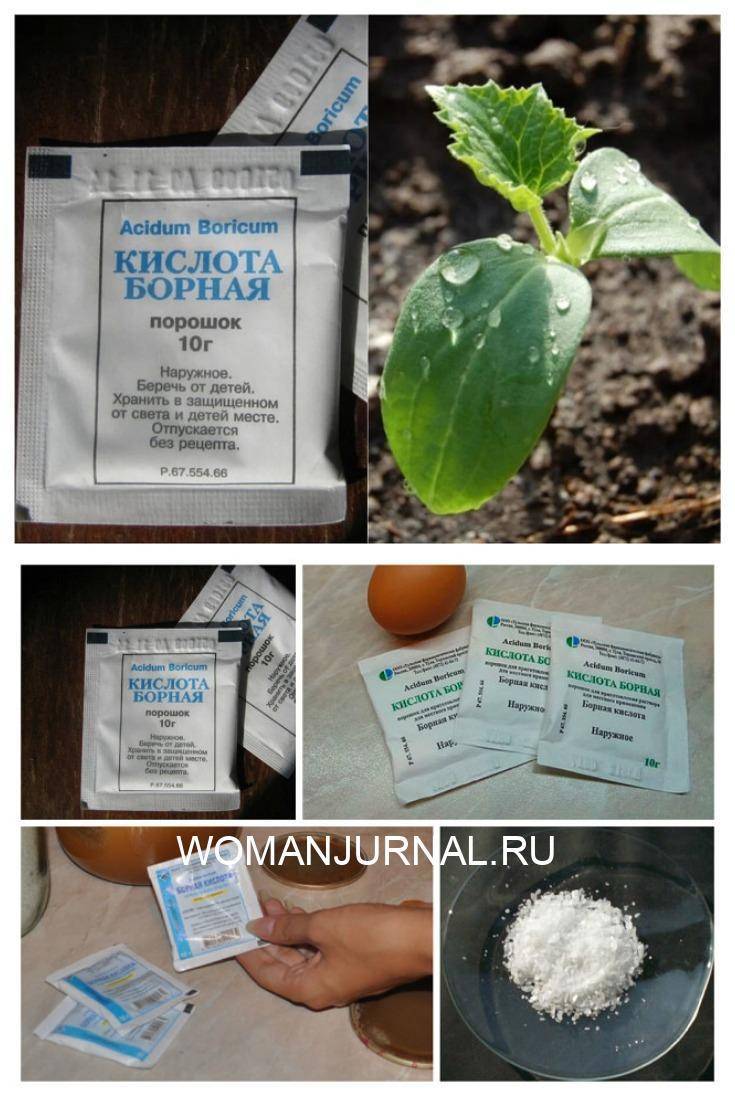 Для чего нужна борная кислота и сколько нужно для опрыскивания?