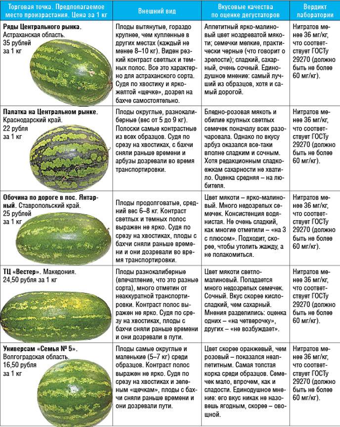 Подкормка арбузов в открытом грунте: виды удобрений, полезные рекомендации