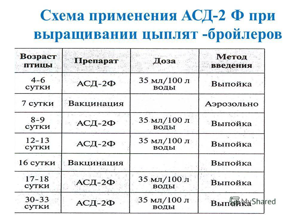 Схема лечебно профилактических мероприятий при выращивании индеек сверх тяжелых кроссов