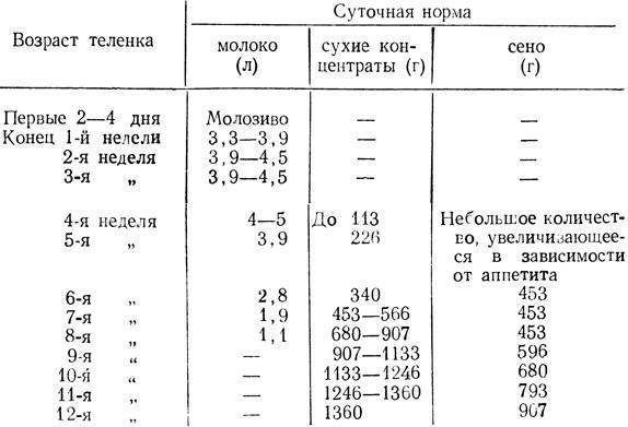 С какого возраста можно давать кашу теленку