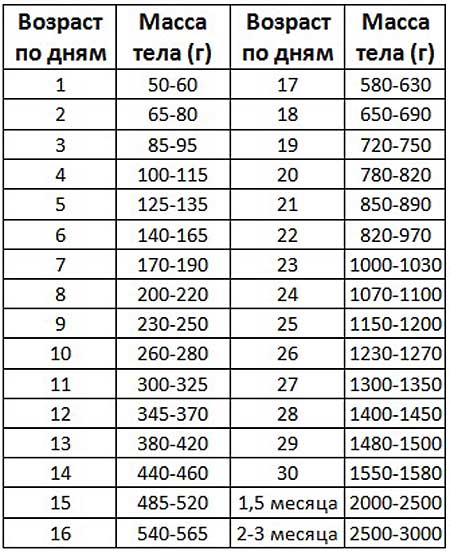 Схема веса бройлеров по дням таблица