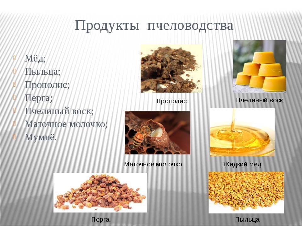 Продукты пчеловодства картинки