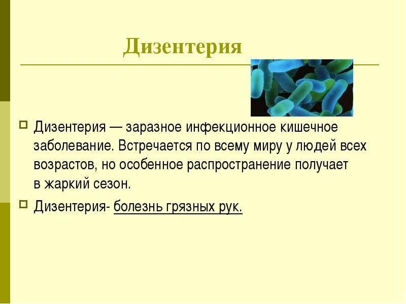 Шигеллы симптомы. Шигелла дизентерия 1 типа. Возбудитель дизентерии у детей. Дизентерия Флекснера путь заражения. Дизентерия характеристика.